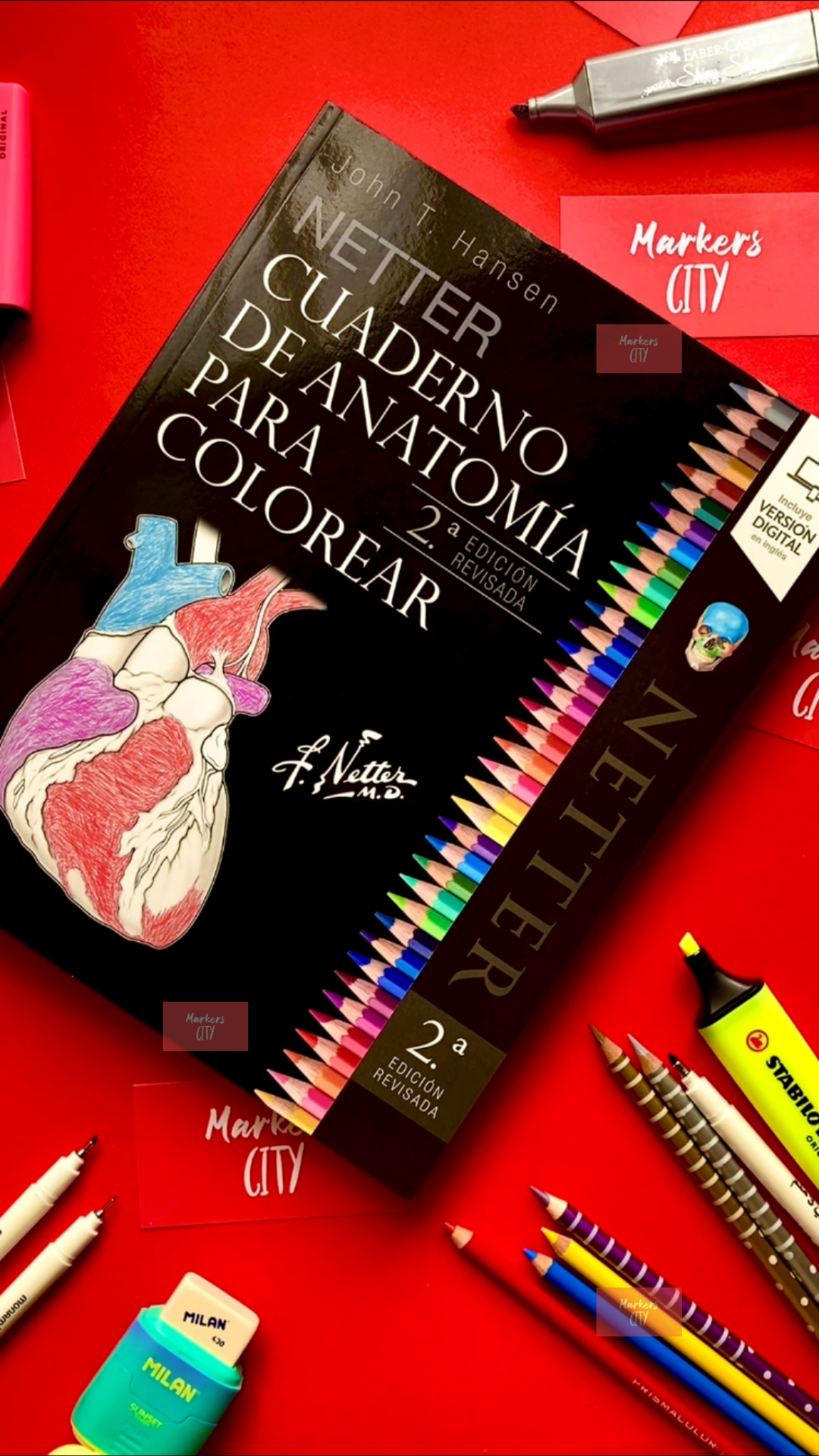 Netter, Cuaderno de Anatomía para colorear